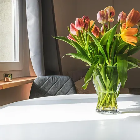 Apartamento Klimatyczne Gniazdko Przy Rynku